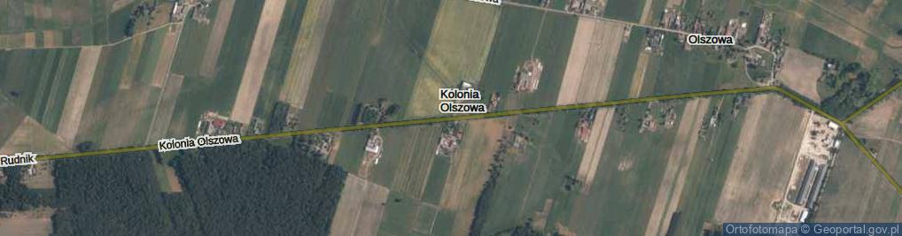 Zdjęcie satelitarne Kolonia Olszowa ul.